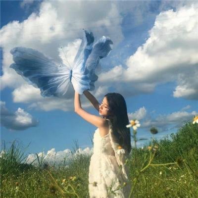 人海浪蝶